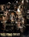 ��������� The Walking Dead Season 4 5 DVD �ҡ����