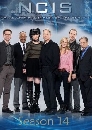 ��������� NCIS Season 14 : Naval Criminal Investigative service 6 DVD �ҡ����