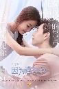������չ Because of You (2017) �����龺�� 7 DVD ��������