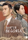 ������չ Winter Begonia ������������ѹ�� 6 DVD ��������