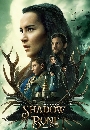 ��������� Shadow And Bone Season 1 (2021) �ӹҹ��ժ� �� 1 2 DVD �ҡ����