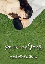 ����������� You Are My Spring �ͤ���ѡ����Ժҹ (2021) 4 DVD ��������