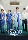 �Ф��� ����Ҫ Triage 4 DVD