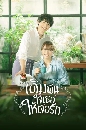 ���������� Who Needs True Love ����ѹ���������ѡ (2020) 3 DVD �ҡ����