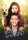 ������չ A Date With the Future ���ѡ�������ѭ�� (2023) 6 DVD �ҡ����