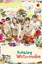 ����������� Twinkling Watermelon (2023) 4 DVD ��������