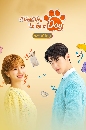 ����������� A Good Day To Be A Dog �ٺ�ѡ�Ŵ��͡ (2023) 4 DVD �ҡ����