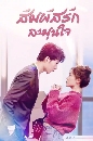 ������չ Warm Meet You (2022) �������ѡ ���ع� 4 DVD �ҡ����