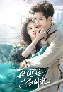 ������չ Fall in Love Again (2024) ���Ҥ���ʧ�ѹ��� 3 DVD ��������
