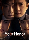 ����������� Your Honor (2024) �֡�����ʹ 3 DVD ��������