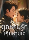 ������չ Love Trap (2024) �������ѡ�Թ����� 3 DVD �ҡ����
