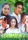 �Ф��� ���ʹ��� (��Ԫ��+�����ѡɳ�) 3 DVD