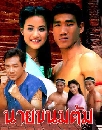 �Ф��� ��¢����� (���ѡ��+��ӽ�) 7 DVD