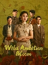 ������չ Wild Ambition Bloom (2025) �ç�㹺ػ�� 6 DVD ��������