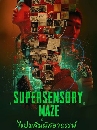������չ Supersensory Maze (2025) 䢻��������Ҷ�þ� 3 DVD ��������