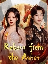 ������չ Reborn from the Ashes �Ҩѹ��������� (2025) 3 DVD ��������