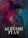 ������չ Blemish Flaw (2025) 3 DVD �ҡ����